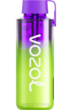 VOZOL NEON 10 000 arbūzų ledas 6LP4241 VOZOL Lietuva