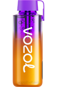 VOZOL NEON 10 000 citrininis laimas 6LP4245 VOZOL Vape Kaina