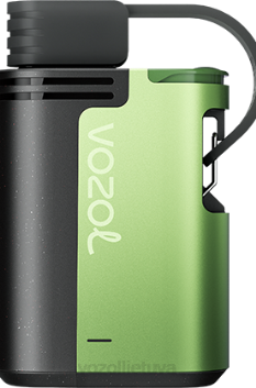 VOZOL GEAR 4000c/6000 vėsios mėtos 6LP4323 VOZOL Vilnius