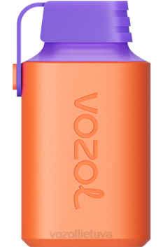 VOZOL GEAR 600 gervuogių ledų 6LP4360 VOZOL Vape Review
